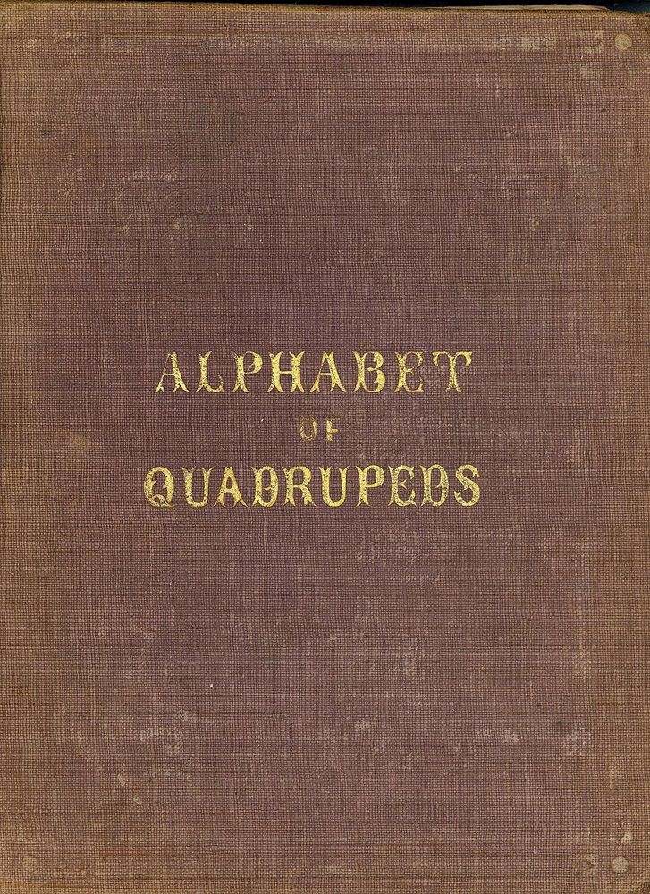 Scan 0001 of An alphabet of quadrupeds