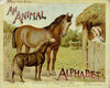 Read An animal alphabet