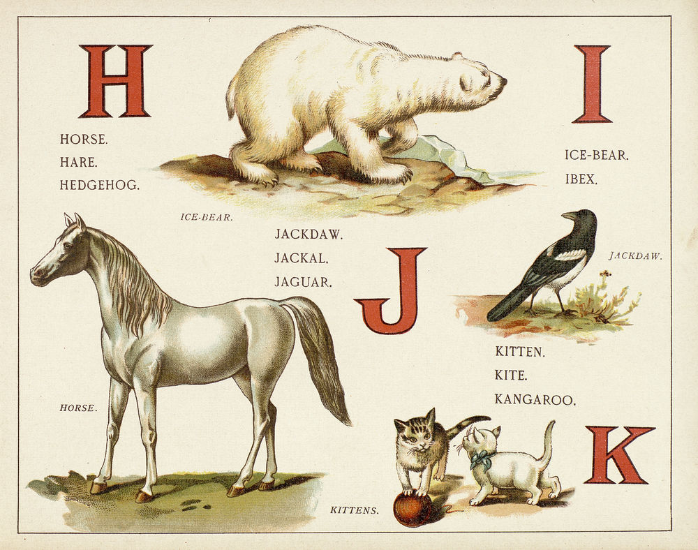 Scan 0007 of An animal alphabet