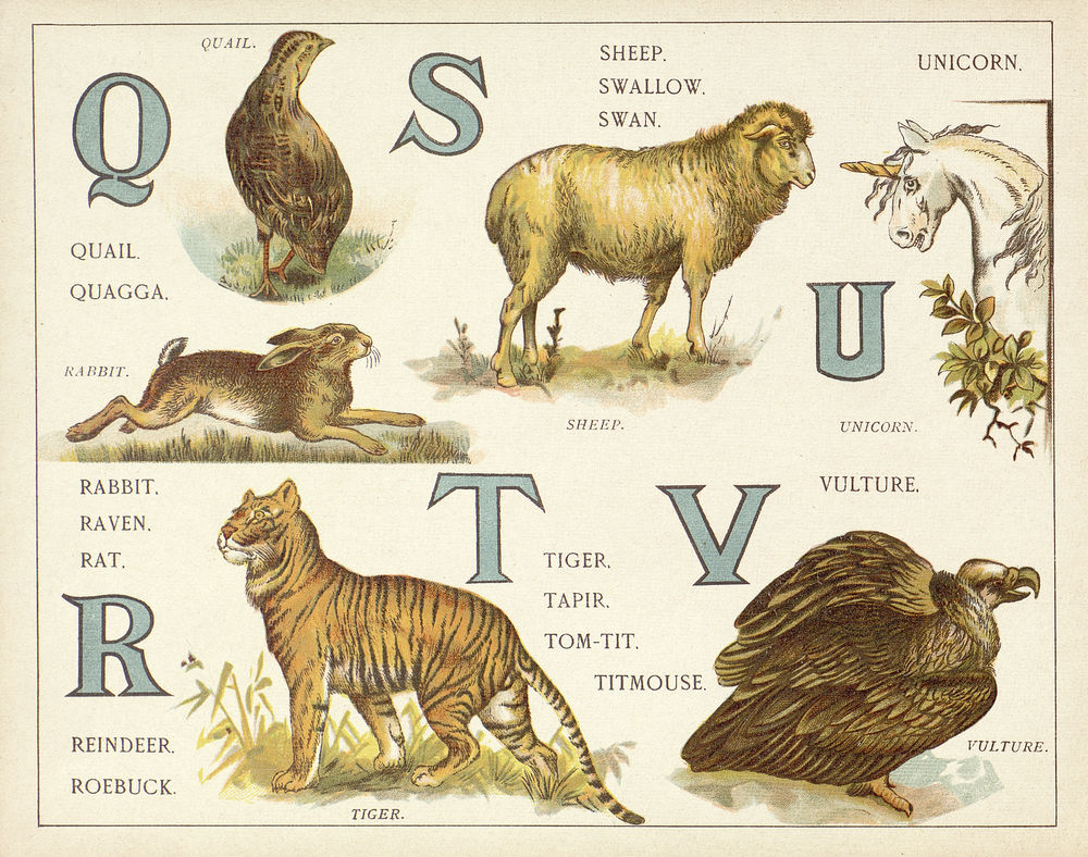 Scan 0012 of An animal alphabet