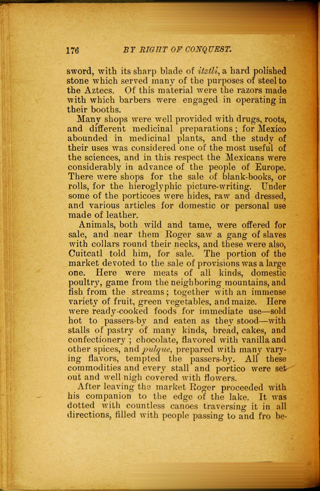 Scan 0188 of By right of conquest, or, With Cortez in Mexico
