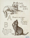 Thumbnail 0002 of Cats and kittens ABC