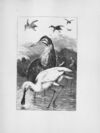 Thumbnail 0127 of Chatterbox stories of natural history