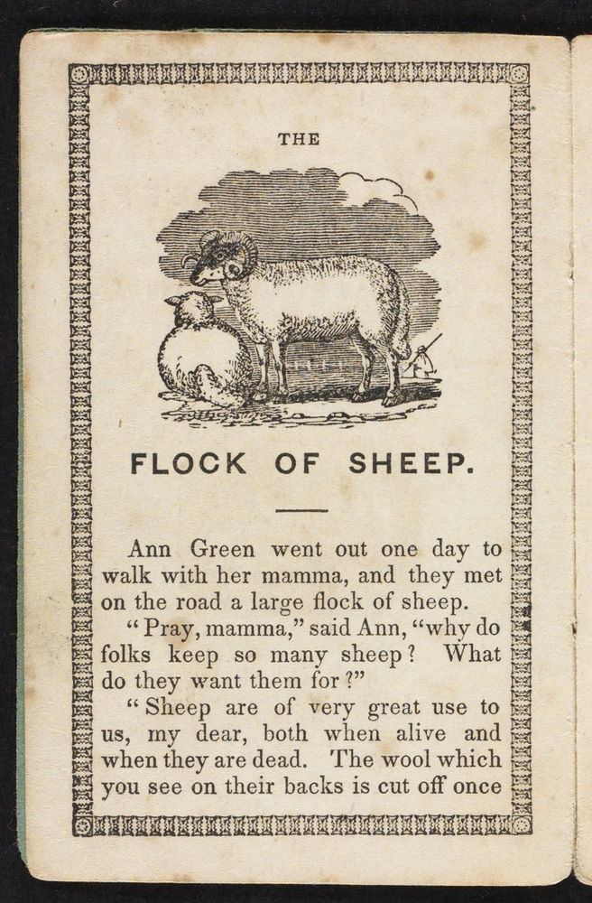 Scan 0004 of The flock of sheep, or, Familiar explanations of simple facts