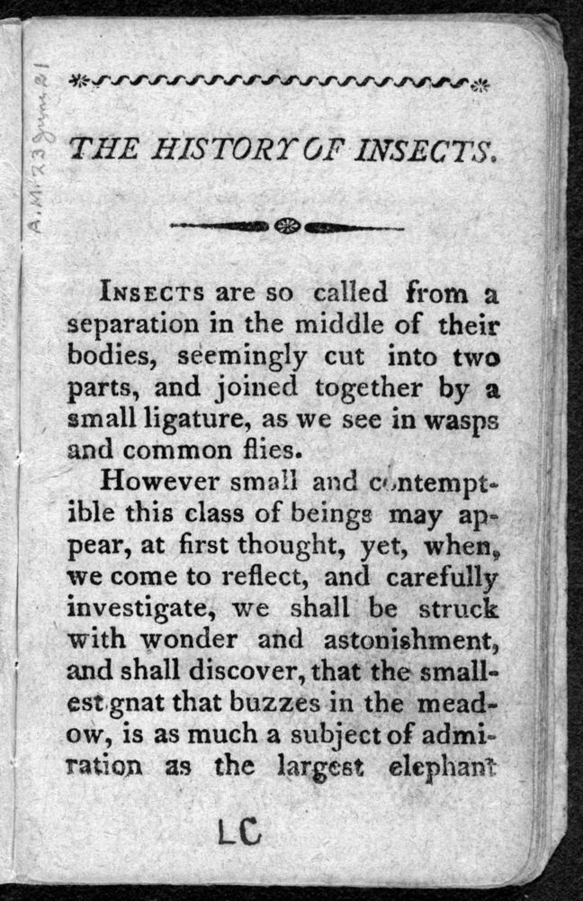 Scan 0005 of The history of insects