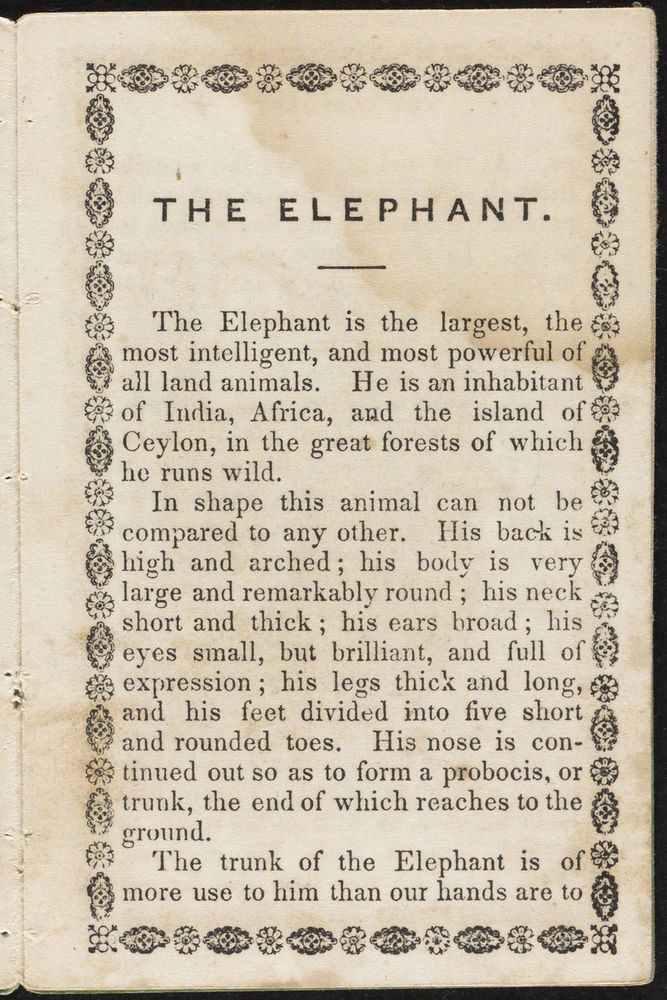 Scan 0005 of History and anecdotes of the elephant