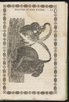 Thumbnail 0013 of History and anecdotes of the elephant
