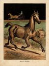 Thumbnail 0008 of Horses