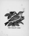 Thumbnail 0058 of The illustrated alphabet of birds