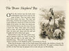 Thumbnail 0005 of Little stories from the Bible