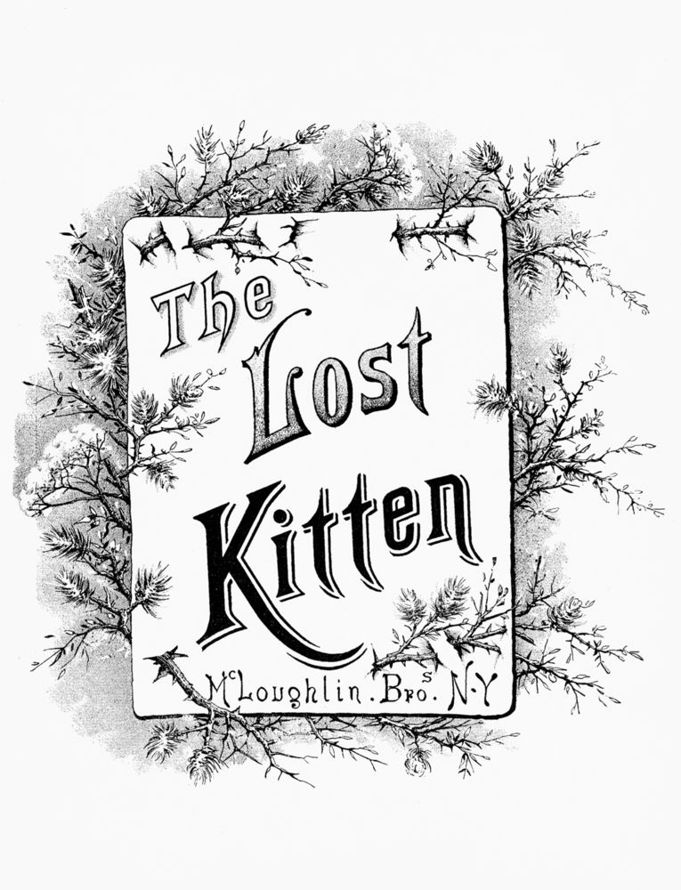 Scan 0003 of Lost kitten