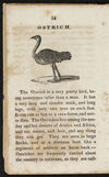 Thumbnail 0014 of Natural history of birds