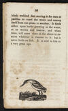 Thumbnail 0016 of Natural history of birds