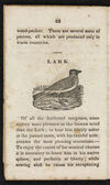 Thumbnail 0022 of Natural history of birds