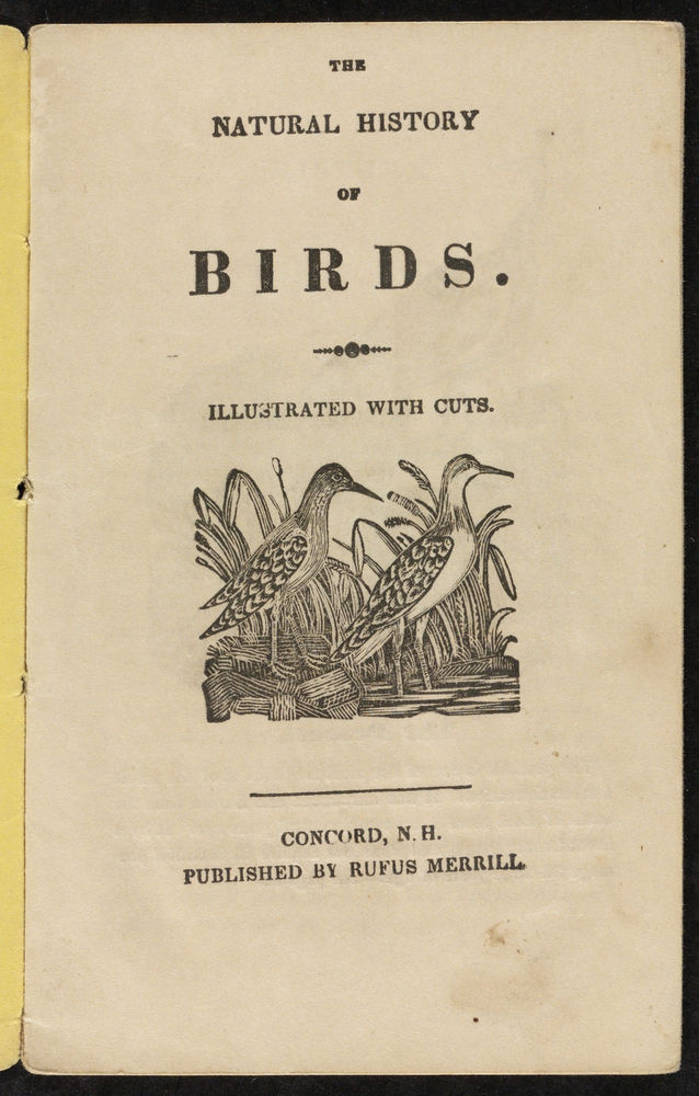 Scan 0003 of The natural history of birds