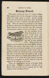 Thumbnail 0022 of The natural history of birds