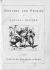Thumbnail 0005 of Pictures and stories of natural history