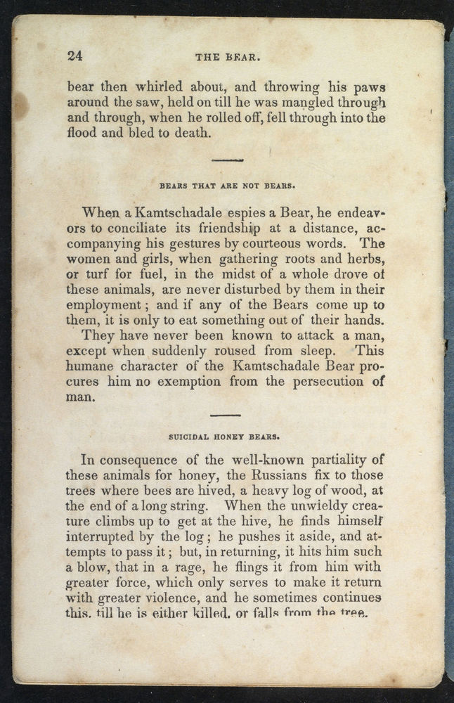 Scan 0026 of Select and amusing anecdotes of animals