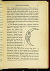 Thumbnail 0097 of St. Nicholas book of plays & operettas