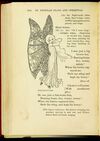 Thumbnail 0220 of St. Nicholas book of plays & operettas