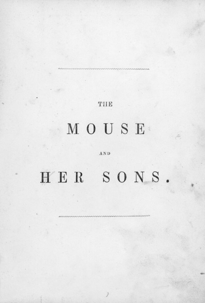 Scan 0008 of Surprising stories about the mouse and her sons, and the funny pigs