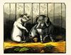 Thumbnail 0066 of Surprising stories about the mouse and her sons, and the funny pigs
