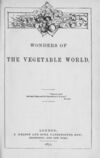 Thumbnail 0006 of Wonders of the vegetable world