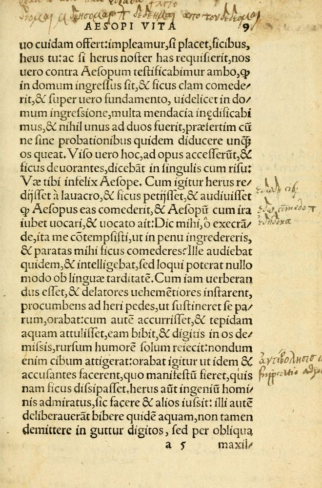 Scan 0013 of Aesopi Phrygis Fabellae Graece et Latine