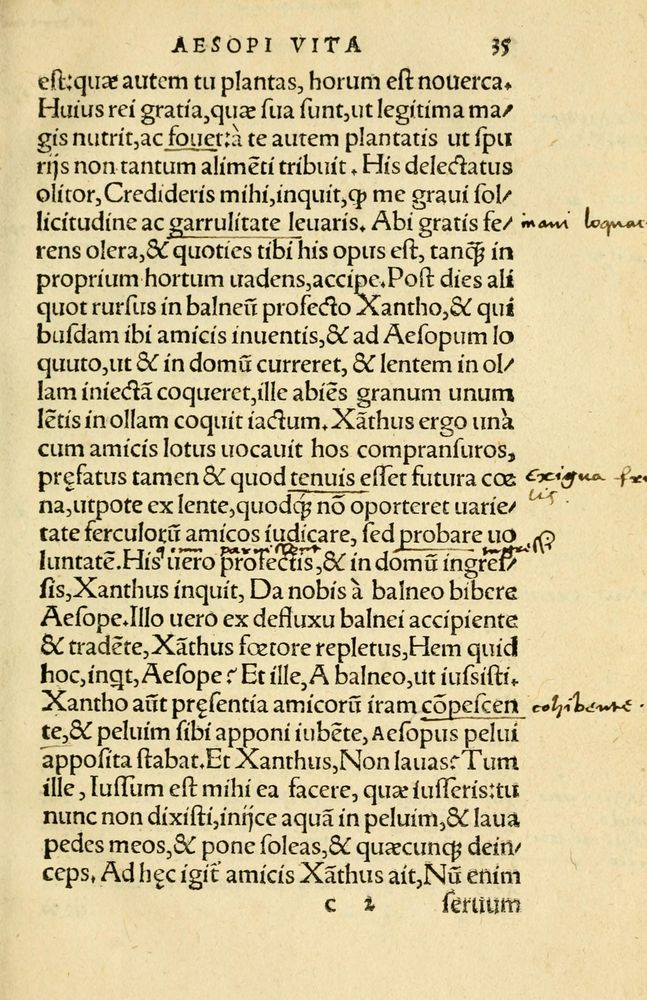 Scan 0039 of Aesopi Phrygis Fabellae Graece et Latine