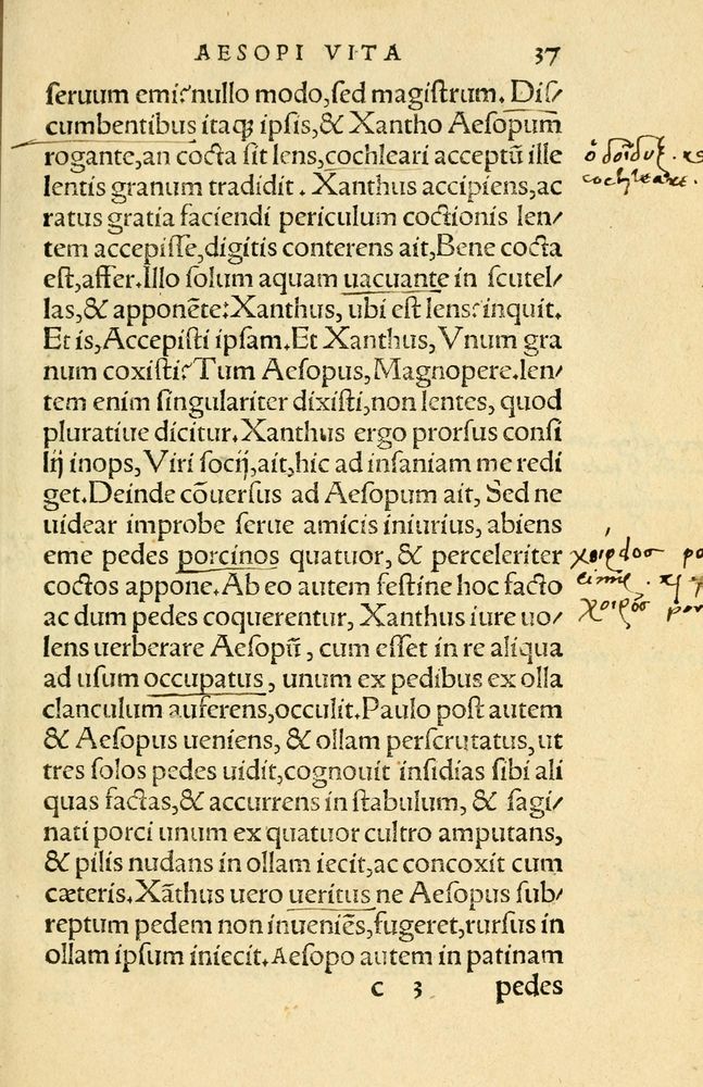 Scan 0041 of Aesopi Phrygis Fabellae Graece et Latine