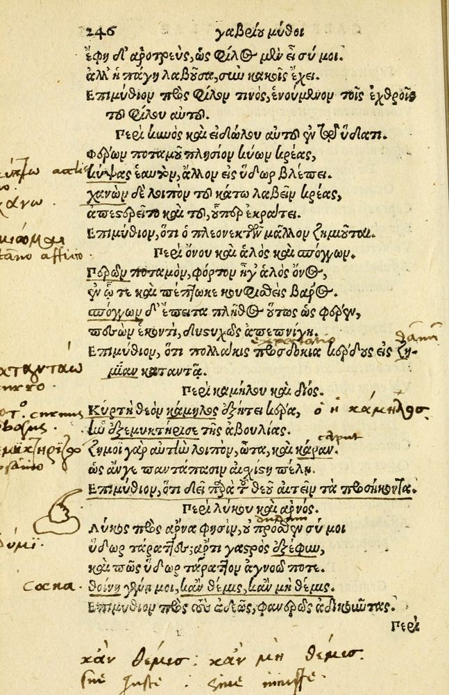 Scan 0250 of Aesopi Phrygis Fabellae Graece et Latine