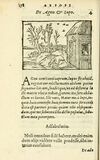 Thumbnail 0184 of Aesopi Phrigis Et Aliorvm Fabvlae