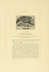 Thumbnail 0066 of Bewicks select fables of Æsop and others in three parts