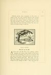Thumbnail 0249 of Bewicks select fables of Æsop and others in three parts