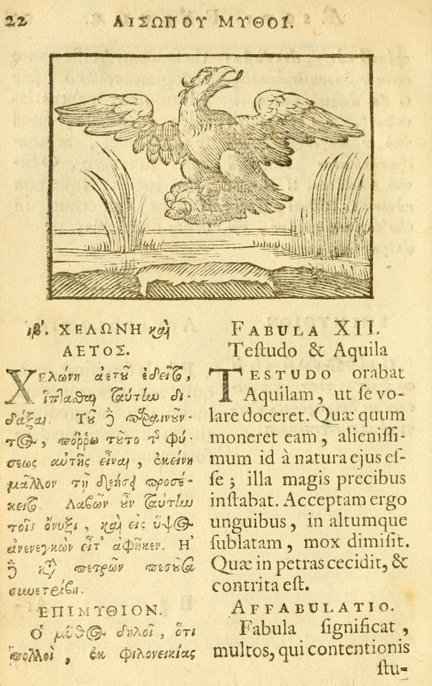 Scan 0024 of Fabulae Aesopi graecaè et latinè, nunc denuo selectae.