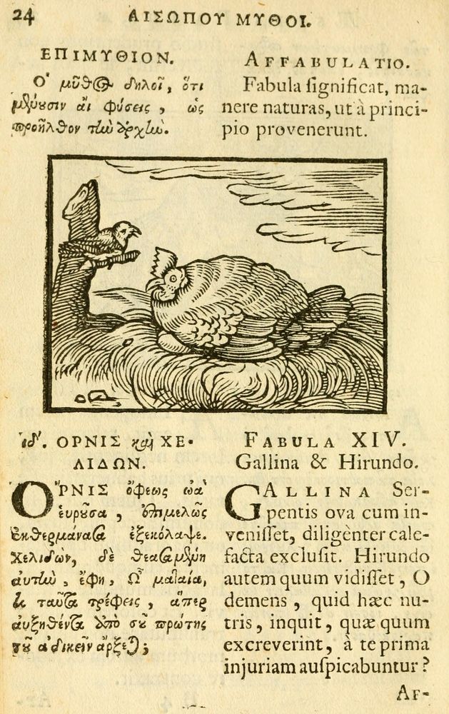 Scan 0026 of Fabulae Aesopi graecaè et latinè, nunc denuo selectae.