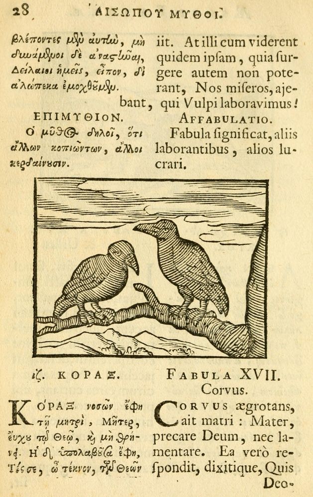 Scan 0030 of Fabulae Aesopi graecaè et latinè, nunc denuo selectae.