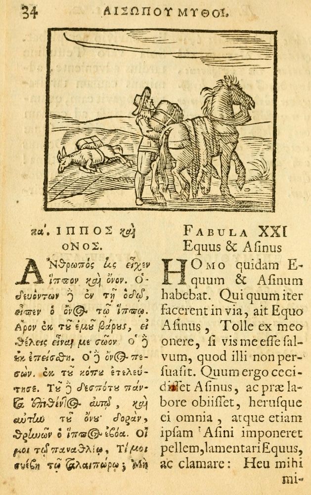 Scan 0036 of Fabulae Aesopi graecaè et latinè, nunc denuo selectae.