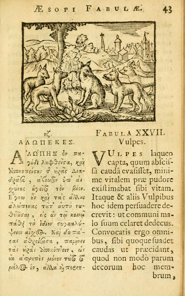Scan 0045 of Fabulae Aesopi graecaè et latinè, nunc denuo selectae.