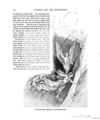 Thumbnail 0142 of Hans Christian Andersen