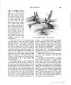 Thumbnail 0259 of Hans Christian Andersen