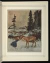 Thumbnail 0077 of Stories from Hans Christian Andersen