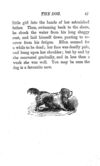 Thumbnail 0050 of A book of favourite animals