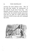 Thumbnail 0067 of A book of favourite animals