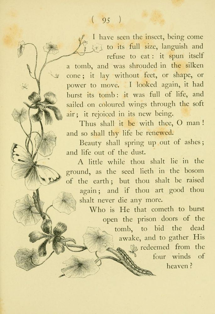 Scan 0115 of Hymns in prose for children