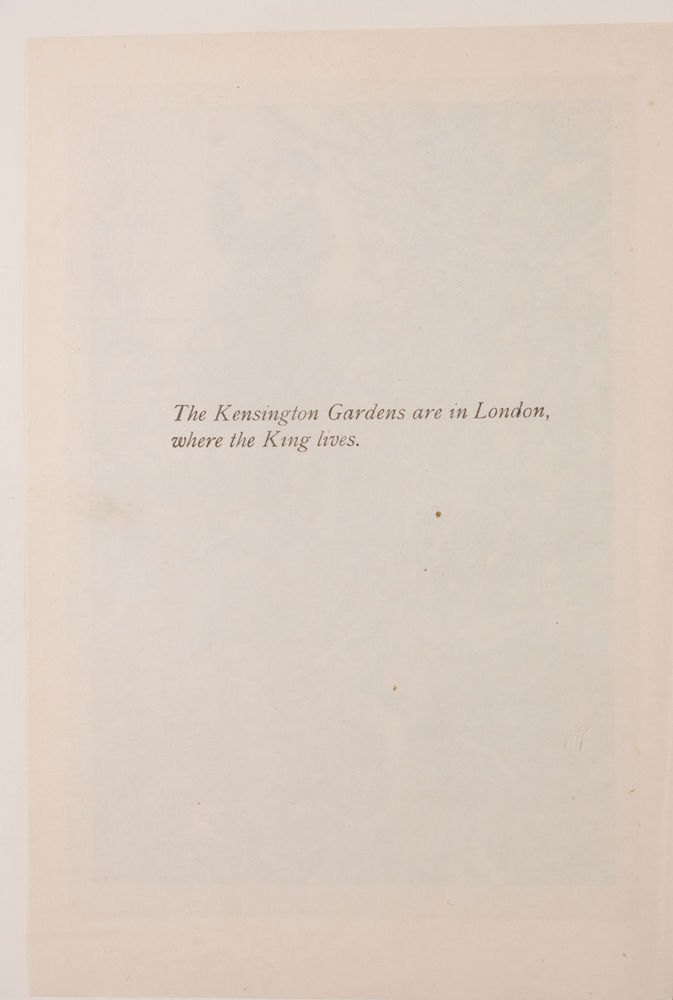 Scan 0024 of Peter Pan in Kensington Gardens
