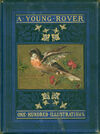 Read A young rover