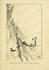 Thumbnail 0109 of Fables in feather