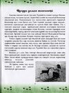 Thumbnail 0081 of Чулуун домог