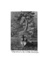 Thumbnail 0023 of Collection de cent-cinquante gravures représentant et formant une suite non interrompue des voyages et aventures surprenantes de Robinson Crusoé